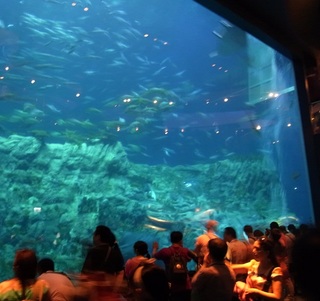 ○海洋公園1.jpg