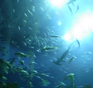 海洋公園2.jpg
