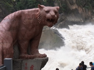 虎.JPG