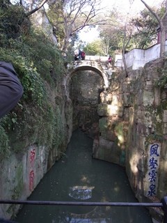 虎1.JPG