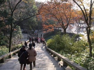 虎2.JPG