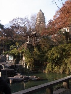 虎3.JPG